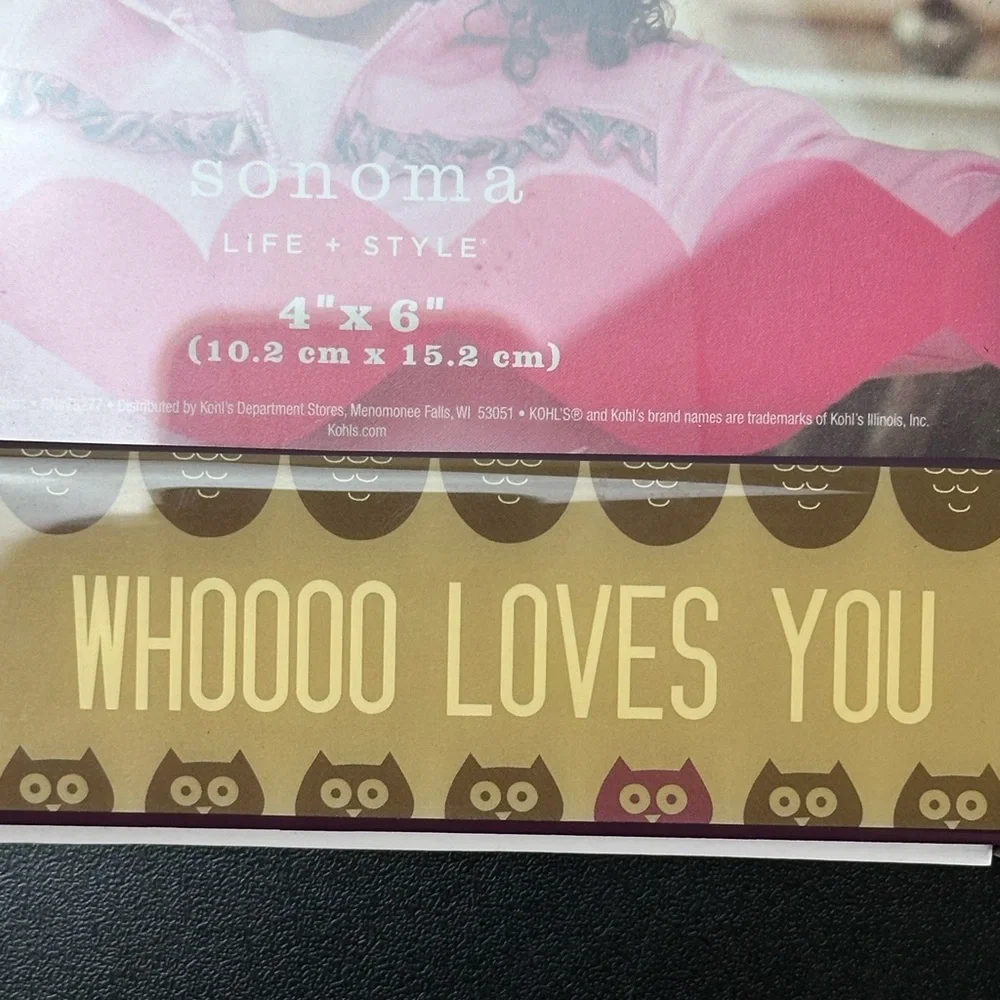 Sonoma Life+Style Owls Whooo Loves You Owl Always Love You Picture Frame 4